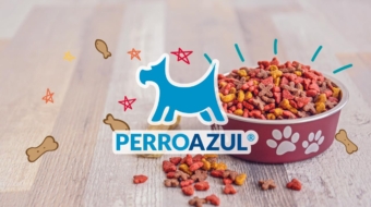 Clientes Whitebird Agency