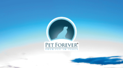 Clientes Whitebird Agency