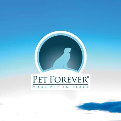 Clientes Whitebird Agency