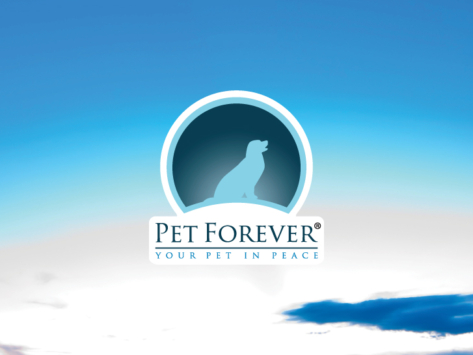 Clientes Whitebird Agency