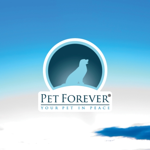 Clientes Whitebird Agency