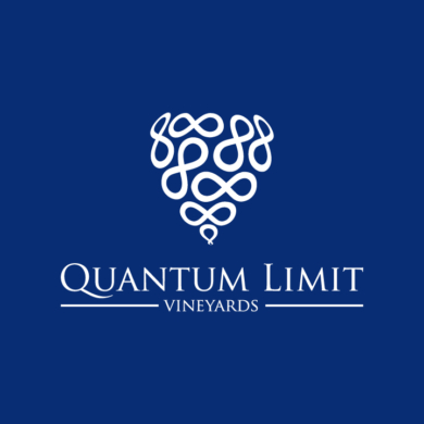 Clientes Whitebird Agency